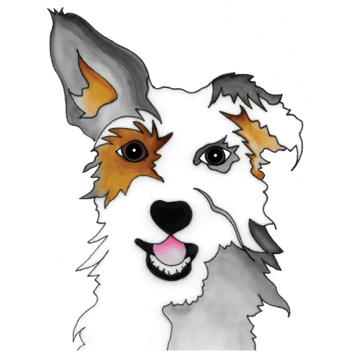 Alyson Whitney Contact Us Page Image of Mutt.webp