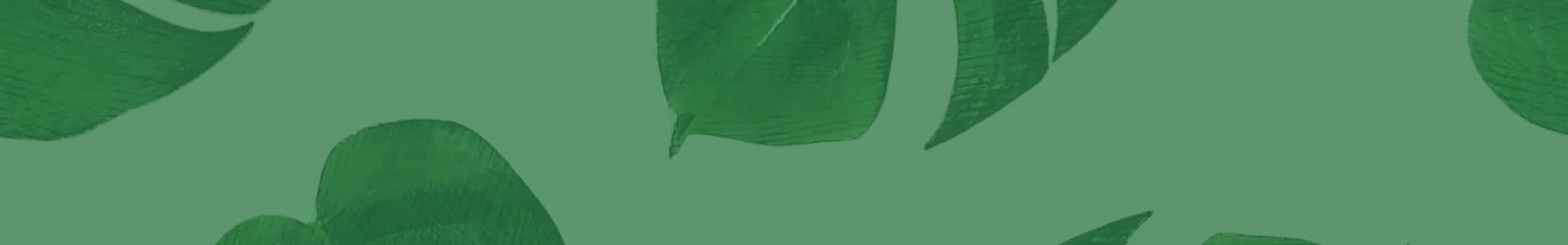 Palm Tree Homepage Background Image (1).webp