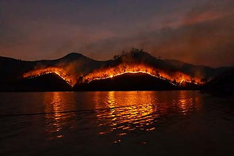 Wildfire.jpg