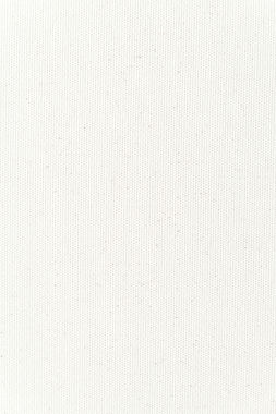 white-canvas-texture-background-close-up_edited.jpg