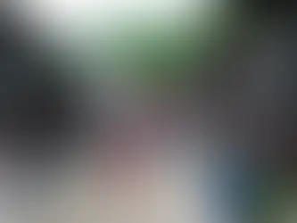 The Five Routes of Edo Period Japan