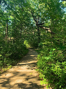 path.jpg