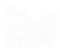 TopographyGreen_edited.png