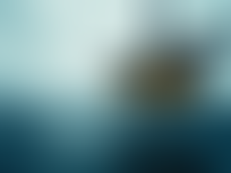 Offshore Construction Solutions for Oil and Gas