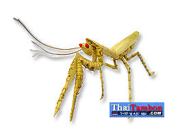 ภาพขนาดย่อ: สัตว์จำลอง