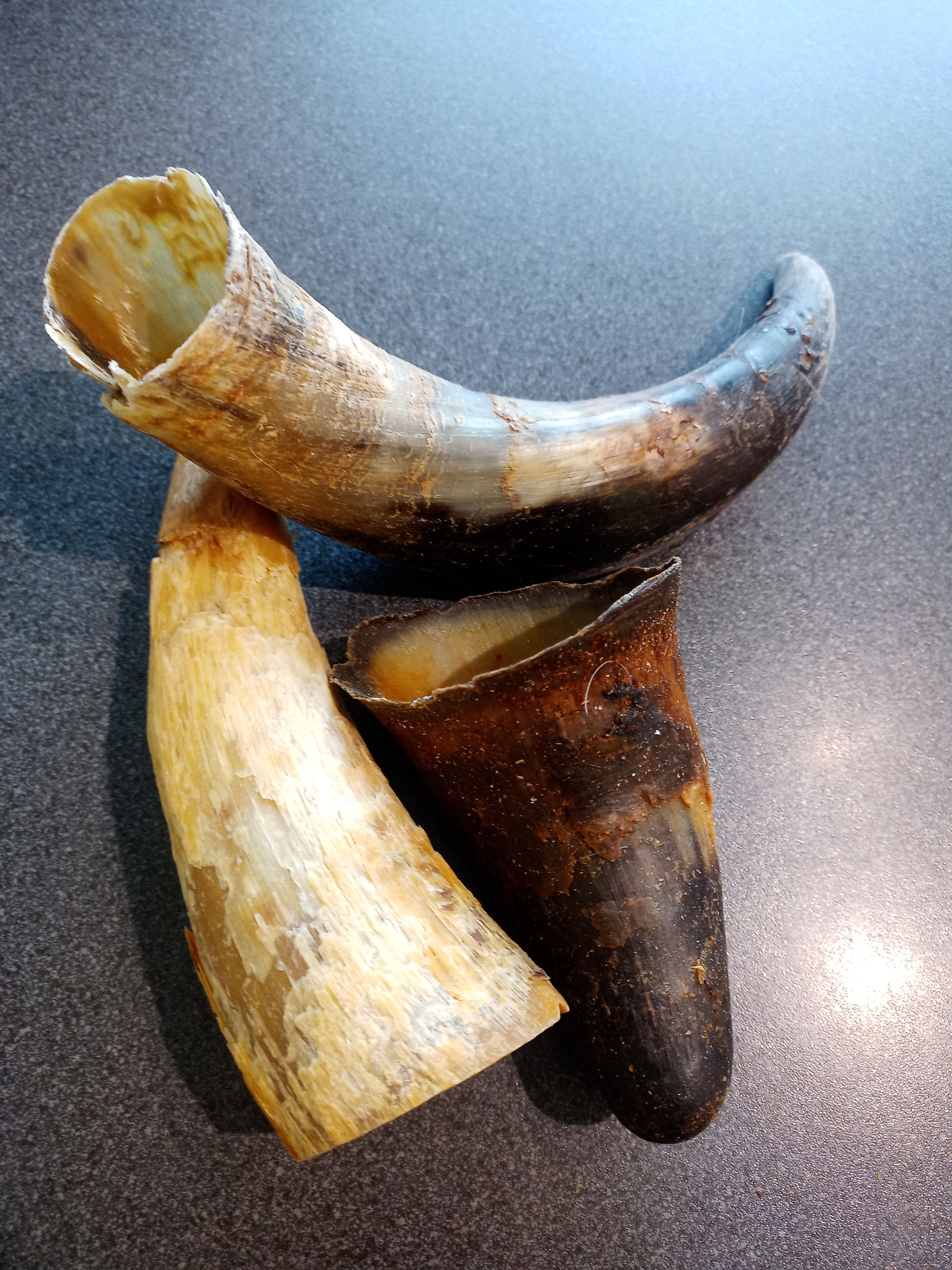 Beef Horn