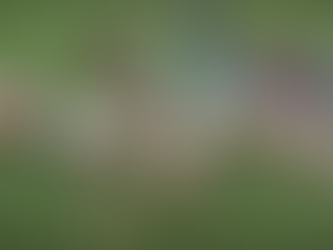 Supermassive NC State Football Preview: Defensive Front