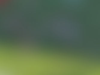 Week 4 Predictions - NC State @ UVA