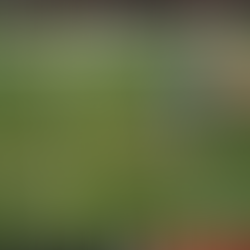 Trinity Road Tape: Kurt Roper Beats Cover 2