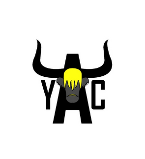 YAC Logo2_edited_edited_edited_edited_ed