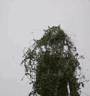 earlgif.gif