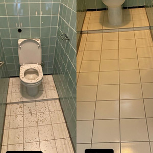 Bathroom Cleaning Transformations