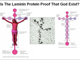 The Cross in Every Cell: