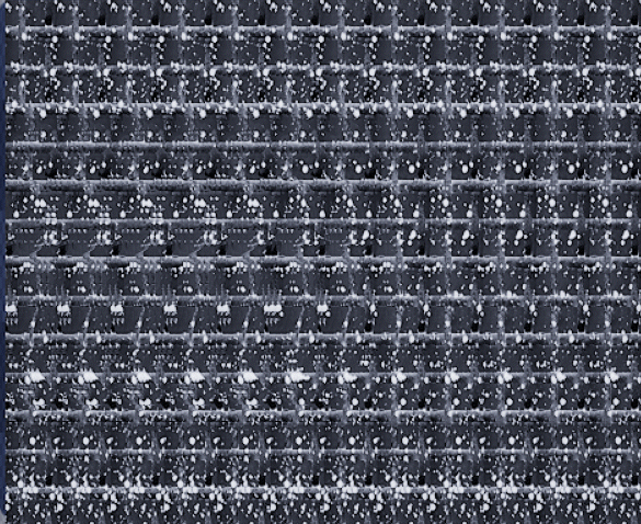 ScreenShotGif.gif