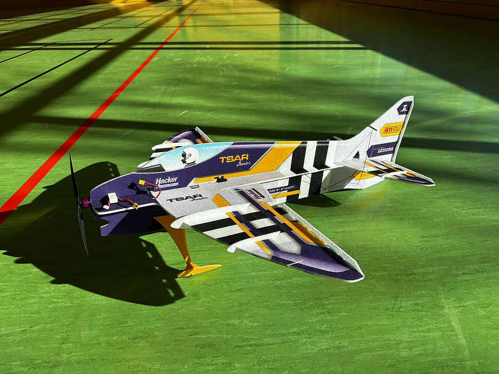 Thumbnail: TSAR Junior F3P EPP 3D - PNP Combo