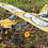 Thumbnail: 37" Stol X V2 - Kit Only