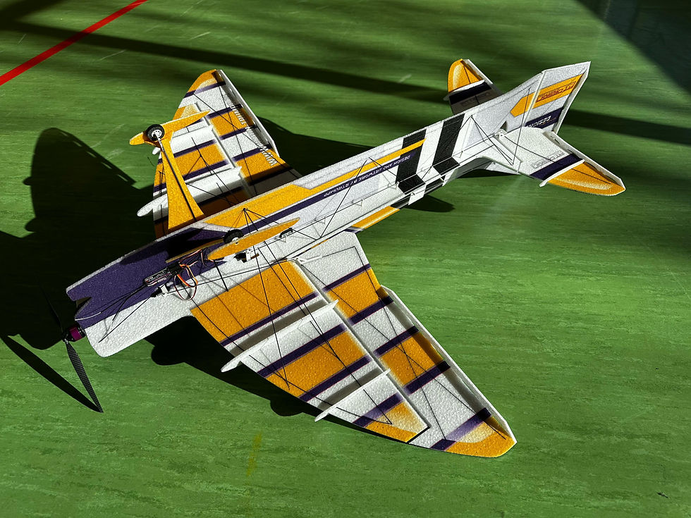 Thumbnail: TSAR Junior F3P EPP 3D - PNP Combo