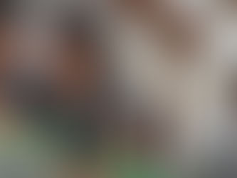 Vanaf de kleuterschool in Israël de vakken wetenschap, technologie, techniek en wiskunde