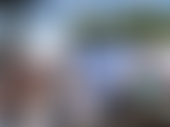 Een van de duurste steden van Amerika en toch blijven Israëliërs erheen komen: wat trekt hen naar Boston?