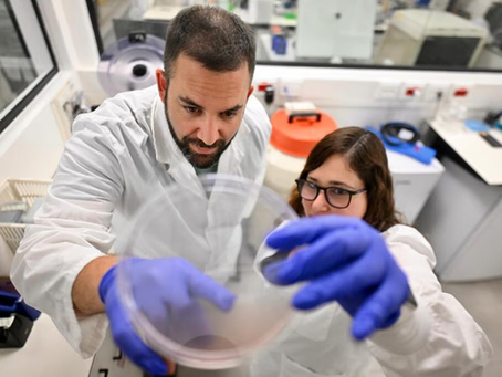 Technion Universiteit: onderzoekers hebben originele technologie ontwikkeld voor de behandeling van kanker met behulp van nanodeeltjes die helemaal geen medicijnen bevatten