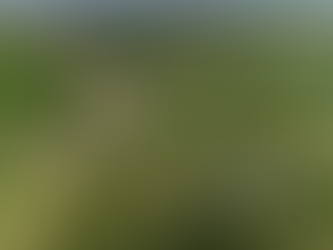 VIDEO: 'Ubeidiya Nationaal Park in de Jordaanvallei gaat open voor het publiek