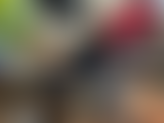 IDF heeft een van terreur gezocht persoon gearresteerd en wapens in beslag genomen