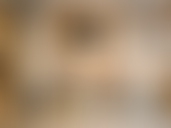 Pallets van polystyreen krijgen een duurzame make-over dankzij een Israëlisch bedrijf