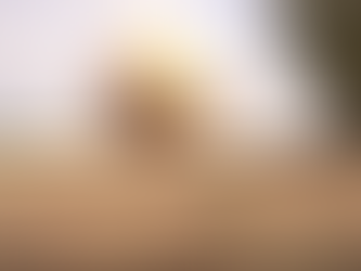 VIDEOS: De defensie eenheid die onder zware omstandigheden reparatiewerk doen en explosieven ruimen