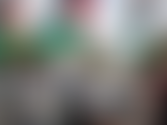 BDS: “geen Joodse staat op enig stukje Palestina”