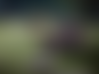 Ministerie van Defensie behandelt 82.400 gewonde soldaten en veteranen, een stijging van 22.000 sinds het begin van de oorlog