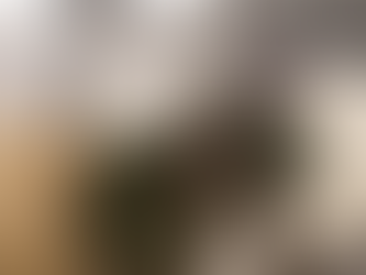 VIDEOS: IDF vond gebouwen met boobytraps en grote hoeveelheden wapens in Rafah