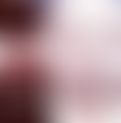 Shadi Barud, de man die de bloedige massa slachting van 7 oktober plande, is door de IDF opgeruimd