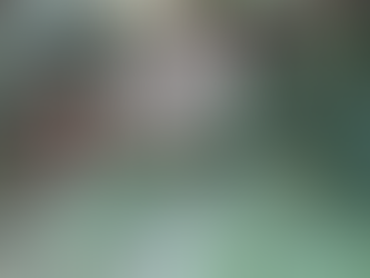 Over de redder van Hitlers stem, hét machtsinstrument van de Führer