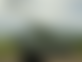 Elbit Systems gaat voor $ 106 miljoen zelfrijdende houwitser-kanonsystemen aan land in Azië leveren