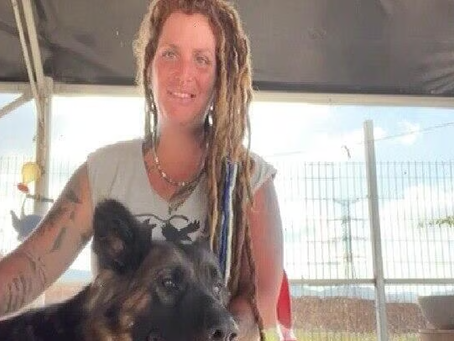 Israëlische boerderij rehabiliteert zwerfhonden die in Gaza zijn aangetroffen