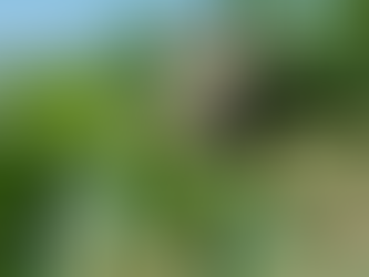 De Israëlische wijnmakerijen vechten om te overleven ondanks de oorlog