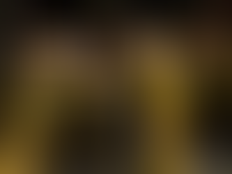 Maak kennis met het nieuwe grensbewakings-bataljon "Panther"