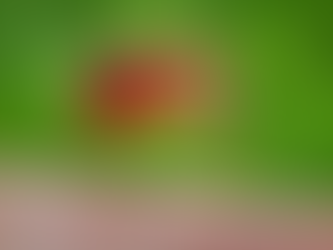 Hoe Israëli's de wereld helpen bij het bestrijden van door muggen overgedragen ziekten