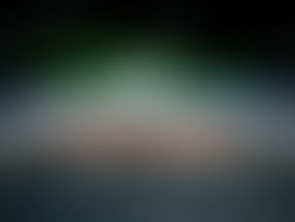 ADA, een anti-jam GPS-systeem, werd met succes gebruikt tijdens operatie 'Guardian of the Walls'