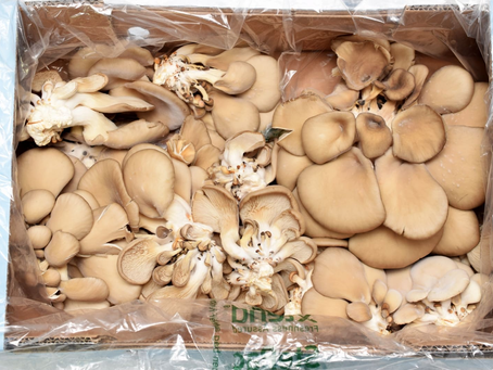 Israëlische verpakkingsinnovatie verhoogt de houdbaarheid van champignons
