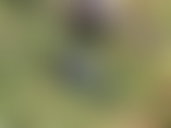 Er werd geschoten op militaire post Elon Moreh; aanvallers geneutraliseerd, wapens gevonden