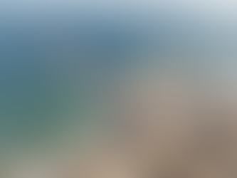 Eerste trucks met hulpgoederen via de drijvende pier in Gaza aan land gebracht