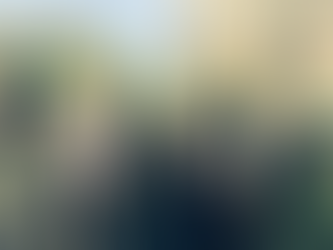 Nederland betaalde vanaf 2005 tot 2026 € 432.98 miljoen aan Palestijnse organisaties  