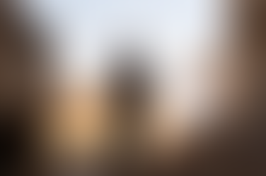 IDF woordvoerder: Na voortdurende en gezamenlijke inspanning zijn alle ontvoerden, zowel levend als dood, terug