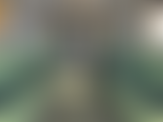 VIDEO: IDF heeft alles in gereedheid om de gijzelaars te ontvangen