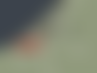 Egypte dreigde dat als de IDF Rafah zou binnenvallen, het vredesakkoord met Israël zou worden opgeschort