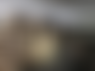 VIDEO: in Khan Yunis werden 40 zware explosieven onder een huis gevonden