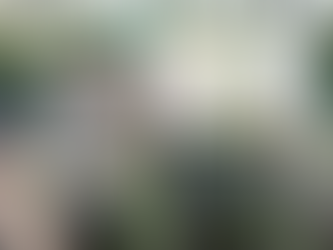 Israelisch onderzoek: Hoe AI de besluitvorming bij ongevallen met veel slachtoffers kan ondersteunen