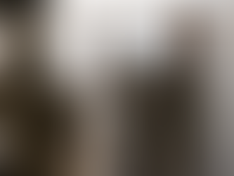 De operationele activiteiten van de IDF gaan door in Shejaiya, Rafah en de centrale Gazastrook