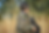 ree